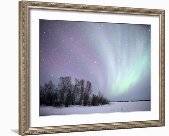 Northern Lights Northwest Territories, March 2008, Canada-Eric Baccega-Framed Photographic Print