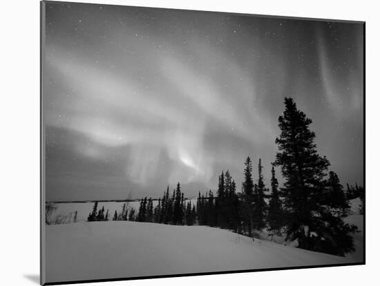 Northern Lights Northwest Territories, March 2008, Canada-Eric Baccega-Mounted Photographic Print