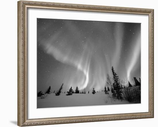 Northern Lights Northwest Territories, March 2008, Canada-Eric Baccega-Framed Photographic Print