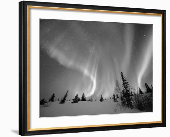 Northern Lights Northwest Territories, March 2008, Canada-Eric Baccega-Framed Photographic Print