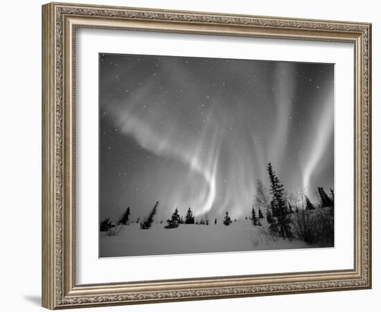 Northern Lights Northwest Territories, March 2008, Canada-Eric Baccega-Framed Photographic Print