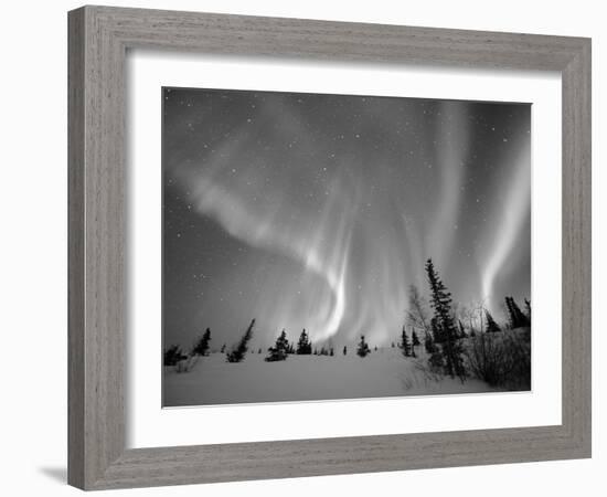 Northern Lights Northwest Territories, March 2008, Canada-Eric Baccega-Framed Photographic Print