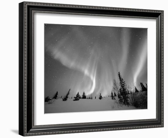 Northern Lights Northwest Territories, March 2008, Canada-Eric Baccega-Framed Photographic Print