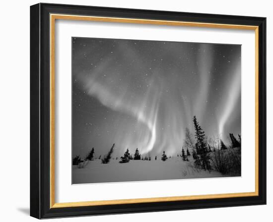 Northern Lights Northwest Territories, March 2008, Canada-Eric Baccega-Framed Photographic Print