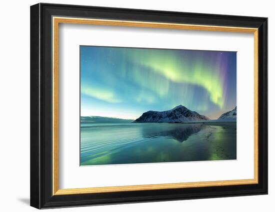 Northern Lights on Skagsanden Norway-spreephoto de-Framed Photographic Print