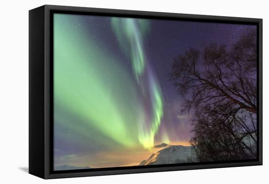 Northern Lights on the Icy Landscape of Svensby, Lyngen Alps, Troms, Lapland, Norway, Scandinavia-Roberto Moiola-Framed Premier Image Canvas