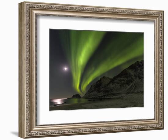 Northern Lights over Haukland Beach, island Vestvagoy. Lofoten Islands. Norway-Martin Zwick-Framed Photographic Print