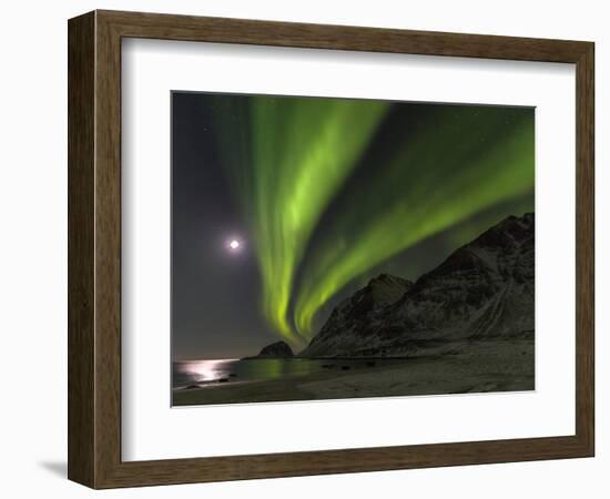 Northern Lights over Haukland Beach, island Vestvagoy. Lofoten Islands. Norway-Martin Zwick-Framed Photographic Print