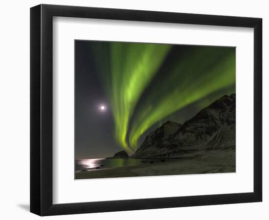 Northern Lights over Haukland Beach, island Vestvagoy. Lofoten Islands. Norway-Martin Zwick-Framed Photographic Print