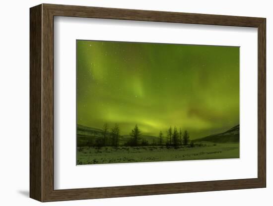 Northern lights over Putoransky State Nature Reserve, Putorana Plateau, Siberia, Russia-Sergey Gorshkov-Framed Photographic Print