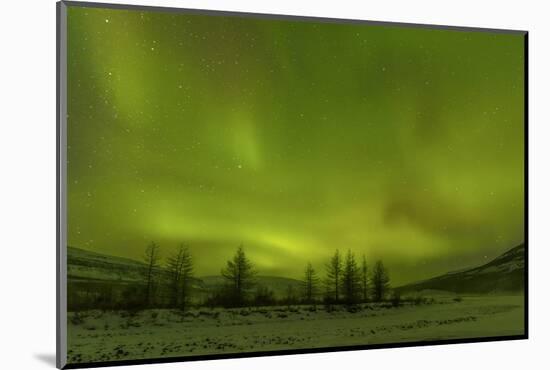 Northern lights over Putoransky State Nature Reserve, Putorana Plateau, Siberia, Russia-Sergey Gorshkov-Mounted Photographic Print