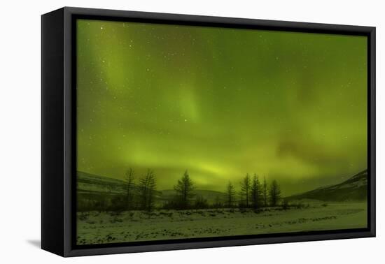 Northern lights over Putoransky State Nature Reserve, Putorana Plateau, Siberia, Russia-Sergey Gorshkov-Framed Premier Image Canvas