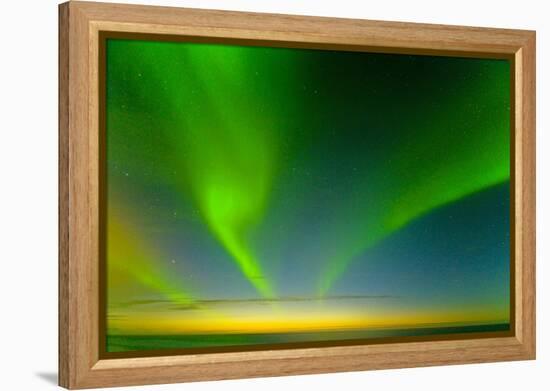 Northern Lights over the Sea, Beaufort Sea, ANWR, Alaska, USA-Steve Kazlowski-Framed Premier Image Canvas