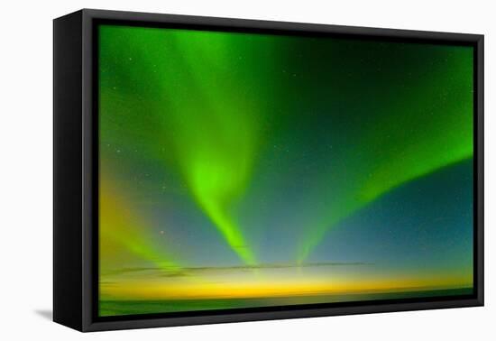 Northern Lights over the Sea, Beaufort Sea, ANWR, Alaska, USA-Steve Kazlowski-Framed Premier Image Canvas