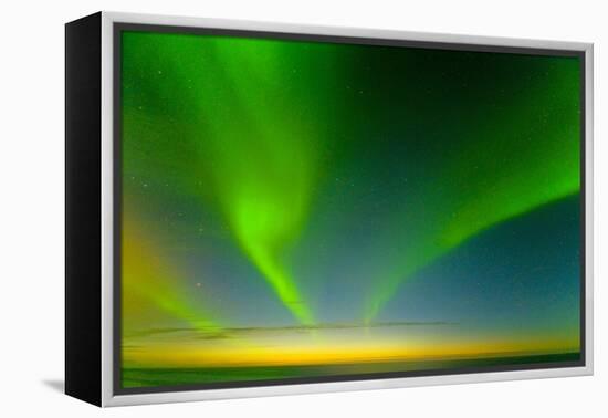 Northern Lights over the Sea, Beaufort Sea, ANWR, Alaska, USA-Steve Kazlowski-Framed Premier Image Canvas