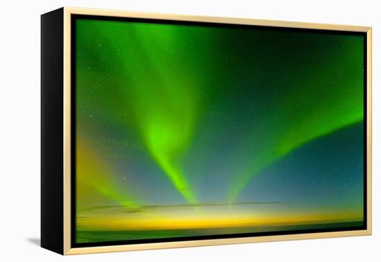 Northern Lights over the Sea, Beaufort Sea, ANWR, Alaska, USA-Steve Kazlowski-Framed Premier Image Canvas