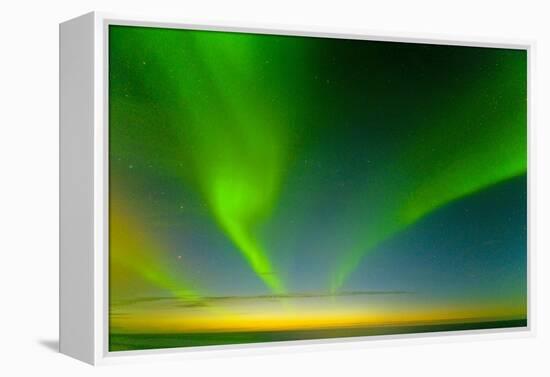 Northern Lights over the Sea, Beaufort Sea, ANWR, Alaska, USA-Steve Kazlowski-Framed Premier Image Canvas