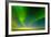 Northern Lights over the Sea, Beaufort Sea, ANWR, Alaska, USA-Steve Kazlowski-Framed Photographic Print