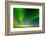 Northern Lights over the Sea, Beaufort Sea, ANWR, Alaska, USA-Steve Kazlowski-Framed Photographic Print