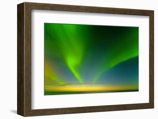 Northern Lights over the Sea, Beaufort Sea, ANWR, Alaska, USA-Steve Kazlowski-Framed Photographic Print