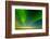 Northern Lights over the Sea, Beaufort Sea, ANWR, Alaska, USA-Steve Kazlowski-Framed Photographic Print