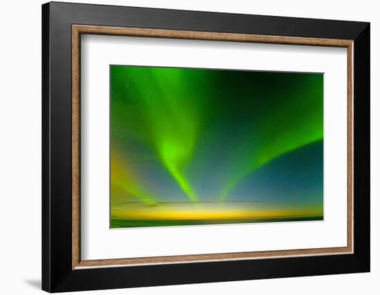 Northern Lights over the Sea, Beaufort Sea, ANWR, Alaska, USA-Steve Kazlowski-Framed Photographic Print