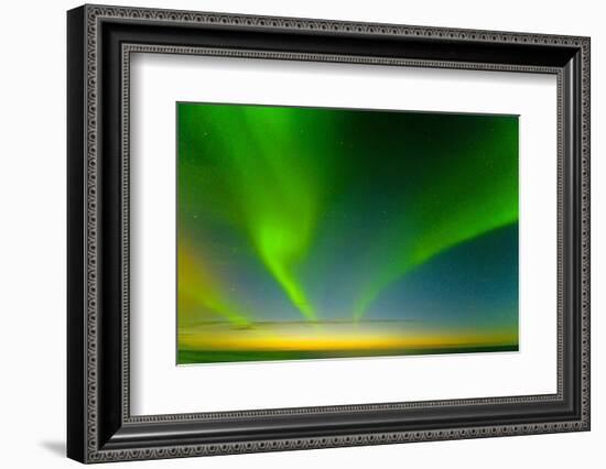 Northern Lights over the Sea, Beaufort Sea, ANWR, Alaska, USA-Steve Kazlowski-Framed Photographic Print