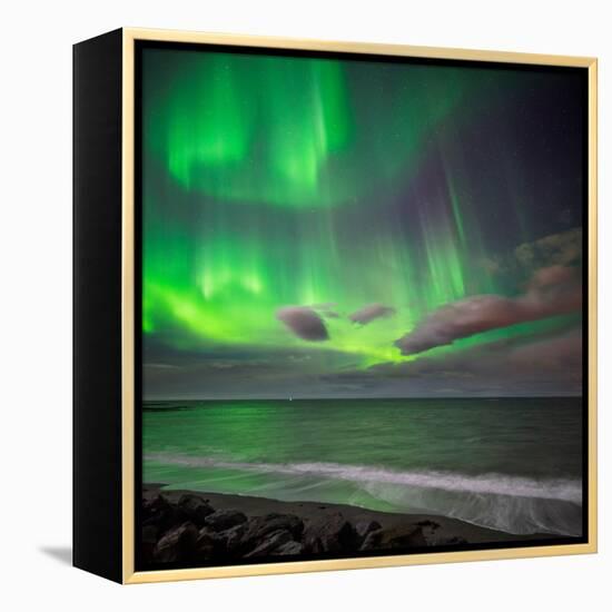 Northern Lights over the Waves Breakiing on the Beach in Seltjarnarnes, Reykjavik, Iceland-null-Framed Premier Image Canvas