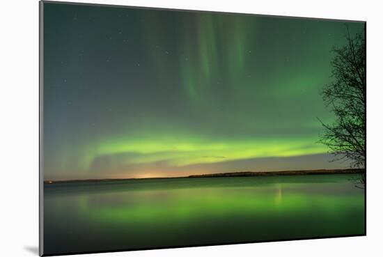 Northern Lights Reflecting in the Water with a Tree Silhouette-Brent Beach-Mounted Photographic Print