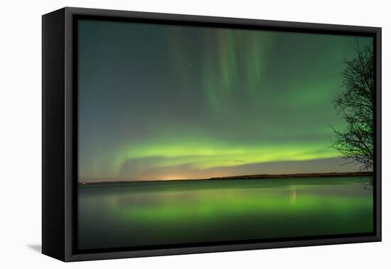 Northern Lights Reflecting in the Water with a Tree Silhouette-Brent Beach-Framed Premier Image Canvas