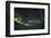 Northern Lights Through Fisheye, Iceland-Niki Haselwanter-Framed Photographic Print