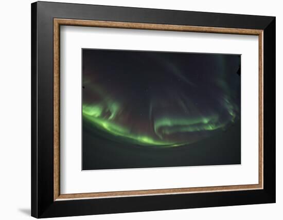 Northern Lights Through Fisheye, Iceland-Niki Haselwanter-Framed Photographic Print