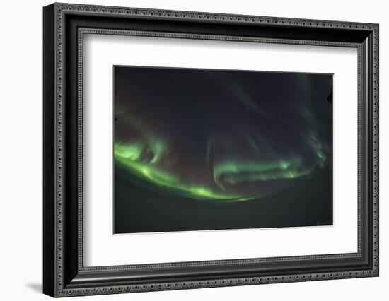 Northern Lights Through Fisheye, Iceland-Niki Haselwanter-Framed Photographic Print