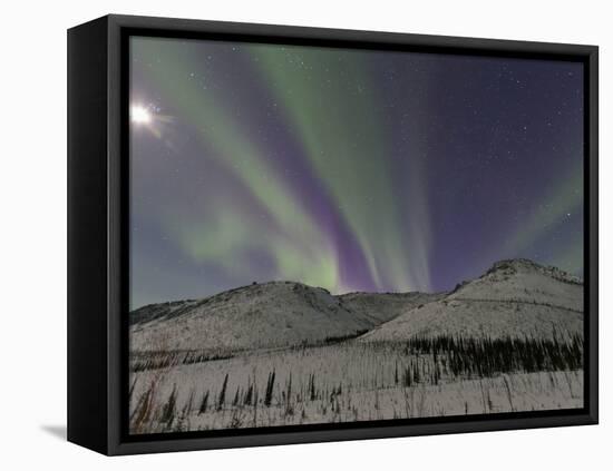 Northern Lights, White Mountain National Recreation Area, Alaska, USA-Hugh Rose-Framed Premier Image Canvas