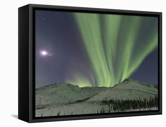 Northern Lights, White Mountain National Recreation Area, Alaska, USA-Hugh Rose-Framed Premier Image Canvas