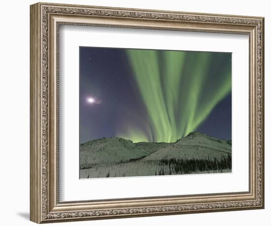 Northern Lights, White Mountain National Recreation Area, Alaska, USA-Hugh Rose-Framed Photographic Print