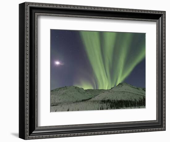 Northern Lights, White Mountain National Recreation Area, Alaska, USA-Hugh Rose-Framed Photographic Print