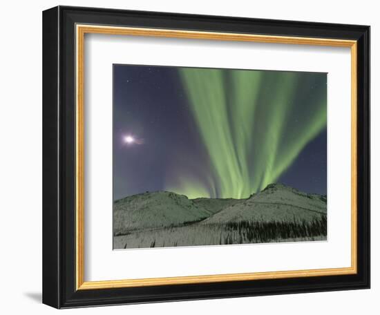 Northern Lights, White Mountain National Recreation Area, Alaska, USA-Hugh Rose-Framed Photographic Print