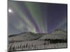 Northern Lights, White Mountain National Recreation Area, Alaska, USA-Hugh Rose-Mounted Photographic Print