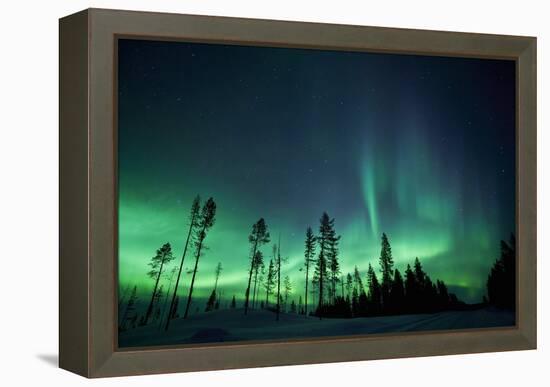Northern Lights-Jeremy Walker-Framed Premier Image Canvas