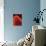 Northern Lights-Greg Mably-Giclee Print displayed on a wall