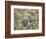 Northern Mockingbird-Gary Carter-Framed Photographic Print