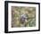 Northern Mockingbird-Gary Carter-Framed Photographic Print