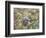 Northern Mockingbird-Gary Carter-Framed Photographic Print