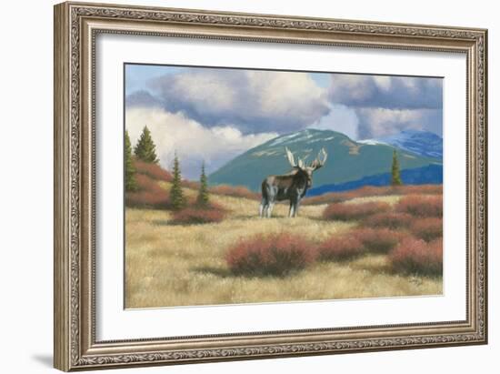 Northern Moose-Wellington Studio-Framed Art Print