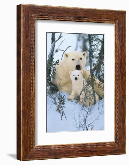 Northern Nursery-Art Wolfe-Framed Giclee Print