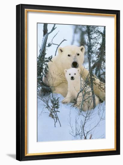 Northern Nursery-Art Wolfe-Framed Giclee Print