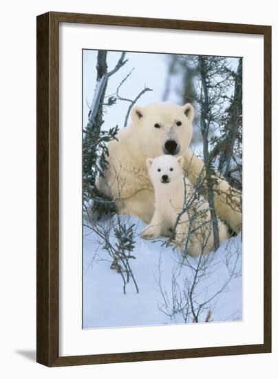 Northern Nursery-Art Wolfe-Framed Giclee Print