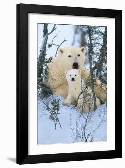 Northern Nursery-Art Wolfe-Framed Giclee Print