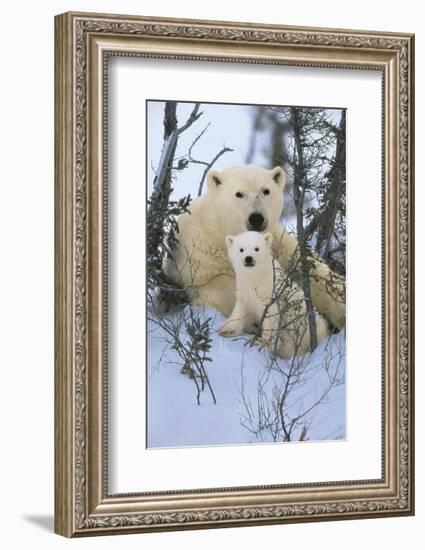 Northern Nursery-Art Wolfe-Framed Art Print